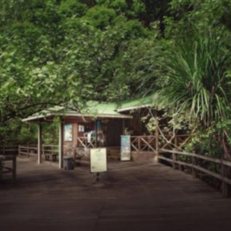 Permai Rainforest Resort Santubong Exteriér fotografie