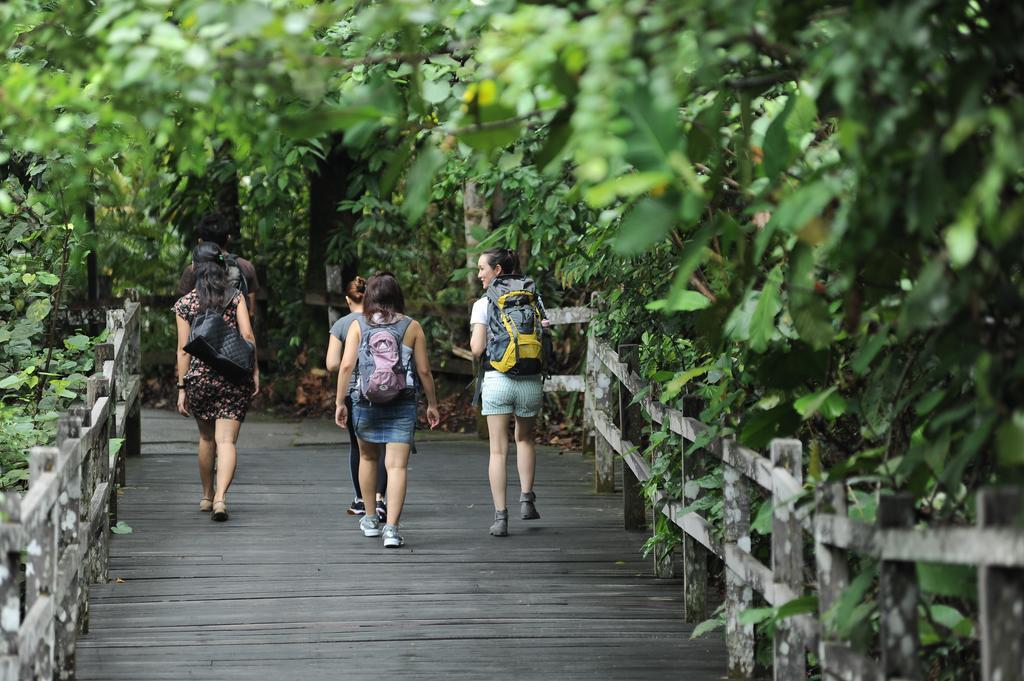 Permai Rainforest Resort Santubong Exteriér fotografie