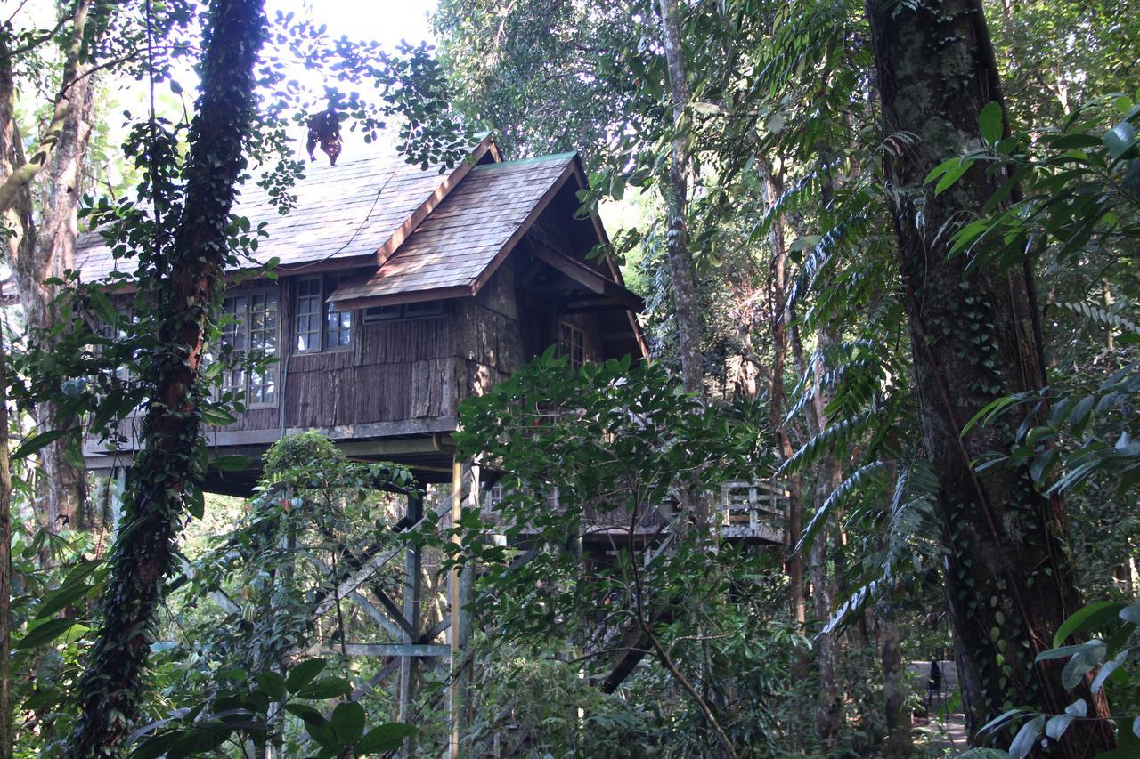 Permai Rainforest Resort Santubong Exteriér fotografie