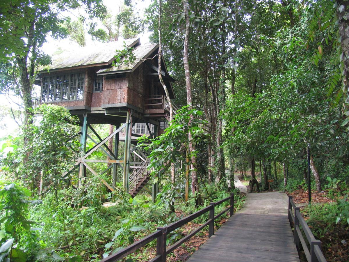 Permai Rainforest Resort Santubong Exteriér fotografie