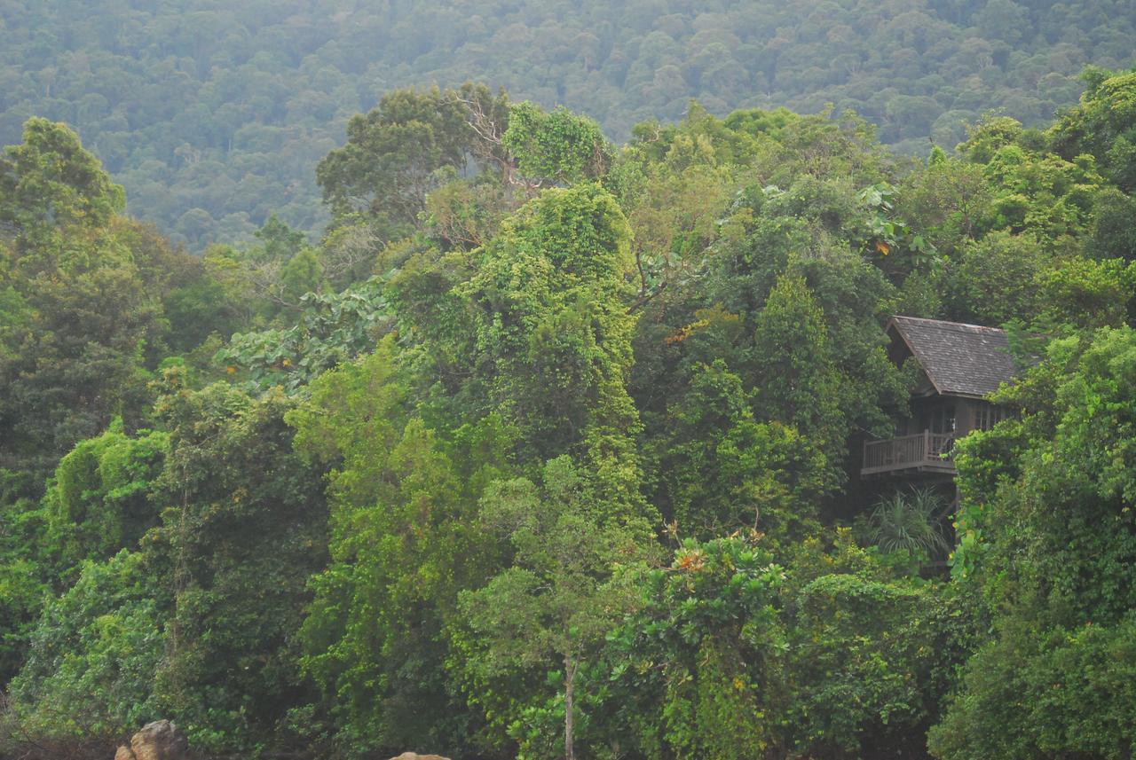 Permai Rainforest Resort Santubong Exteriér fotografie